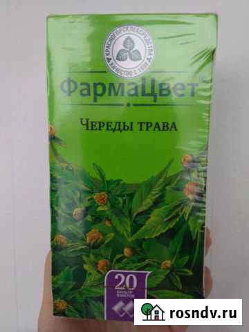 Череда Апатиты - изображение 1