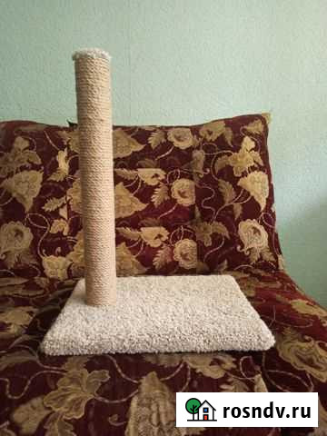 Когтеточка Старовеличковская - изображение 1