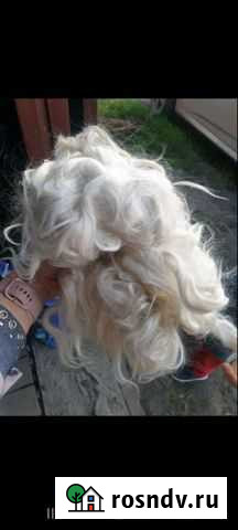 Козий пух белый, чистый Курган - изображение 1