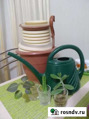 Цветочные горшки+Лейка Кострома - изображение 1