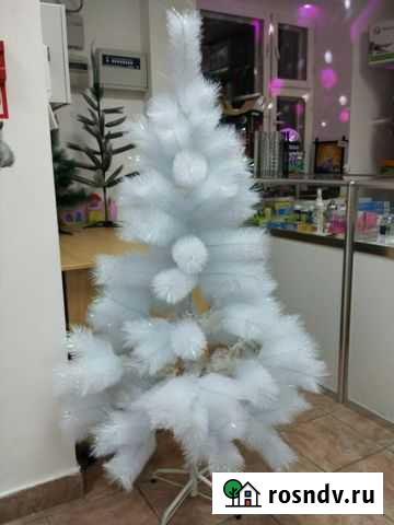 Елка Чита - изображение 1