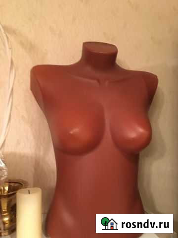 Пластиковые половинки женского торса Гурьевск - изображение 1