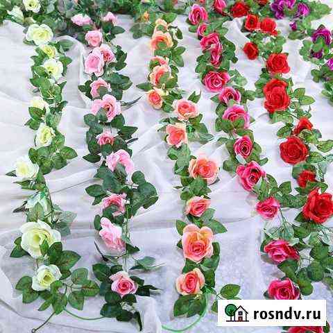 Лианы Мичуринск
