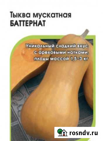 Семена тыквы « мускатная Баттернат» Тучково - изображение 1