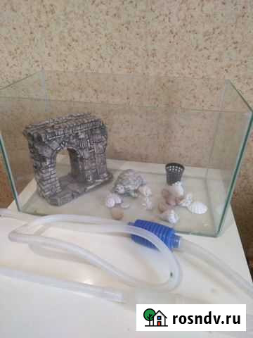 Аквариум Великий Новгород - изображение 1