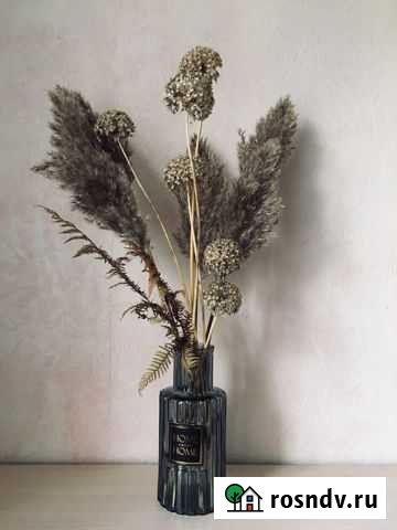 Помпасная трава Пермь - изображение 1