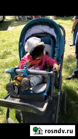 Коляска Сураж - изображение 1