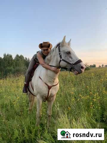 Катание на лошадях Бабынино - изображение 1