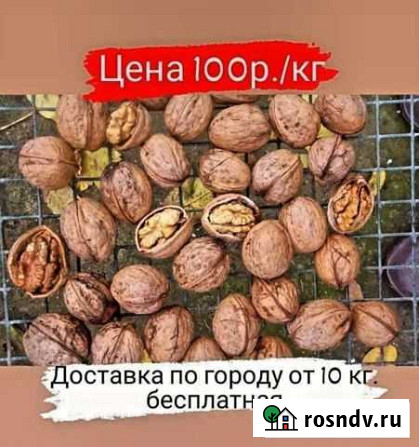 Грецкий орех в скорлупе свежий Владикавказ - изображение 1