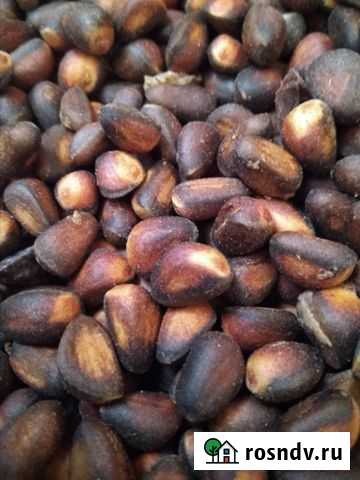 Продаю орех кедровый Тобольск - изображение 1