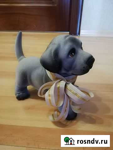 Копилка собачка Мурманск - изображение 1