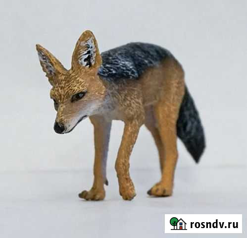 Чепрачный шакал Collecta Новокузнецк - изображение 1