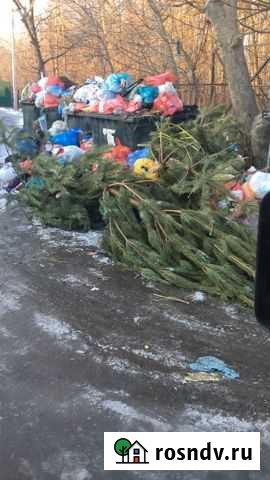 Вывезу елки Грушевская - изображение 1