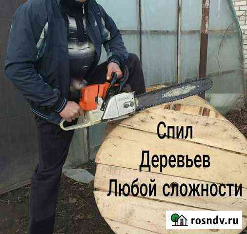Спил деревьев Баксан