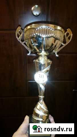 Кубок сувенирный Новосибирск - изображение 1