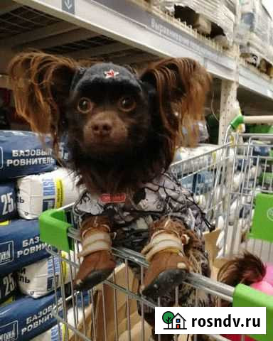 Ищем невесту Пермь - изображение 1