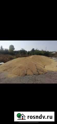 Соя Упорная - изображение 1