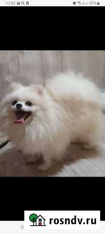 Не продажа Юргамыш - изображение 1