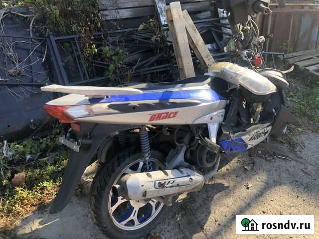 Ирбис грейс Курчатов - изображение 1