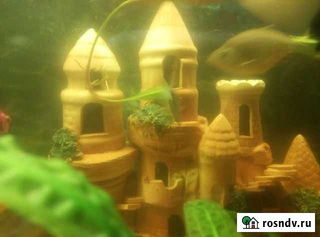 Замок в аквариум Чистополь - изображение 1