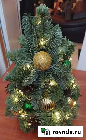 Елка из нобилиса (ель) Улан-Удэ - изображение 1