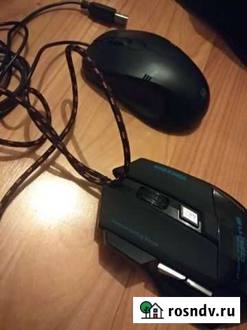 Мышка Электроугли - изображение 1