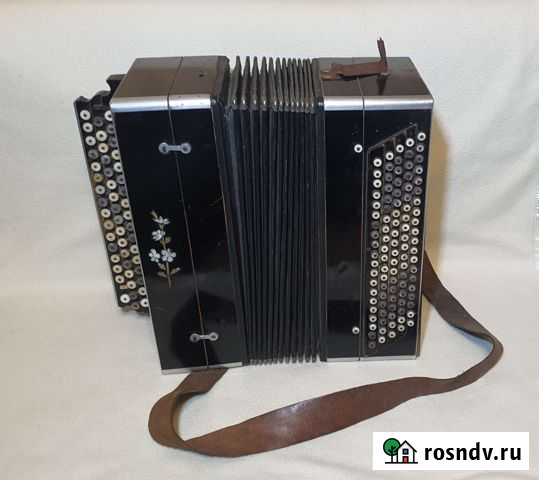 Баян Реутов - изображение 1