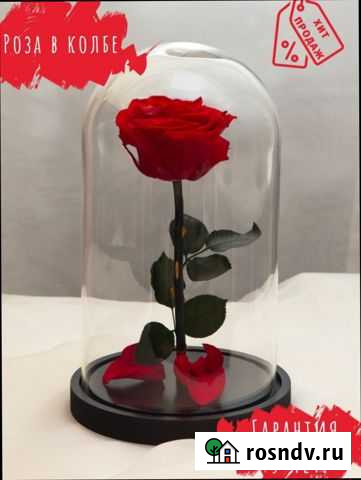 Роза в колбе Екатеринбург - изображение 1