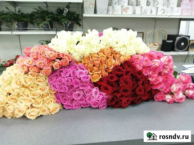 Розы, цветы Тольятти - изображение 1