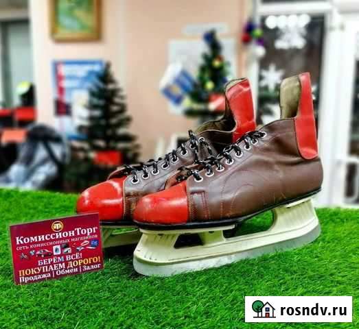 Коньки Топки - изображение 1