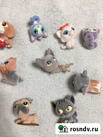 Питомцы Набережные Челны - изображение 1