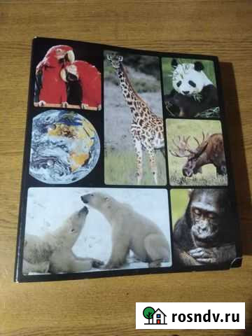 Энциклопедия животного мира Слободской - изображение 1