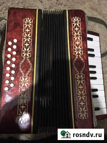 Гармонь гармошка малыш Беслан - изображение 1
