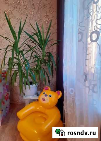 Пальма юкка 120 см Челябинск - изображение 1