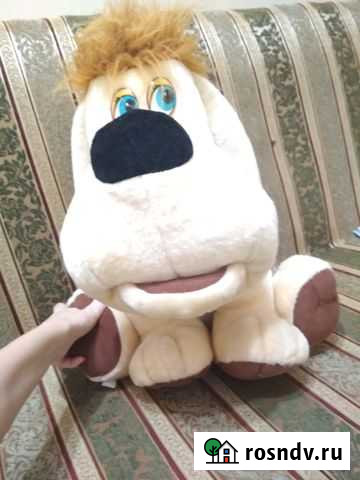 Собака Челябинск - изображение 1