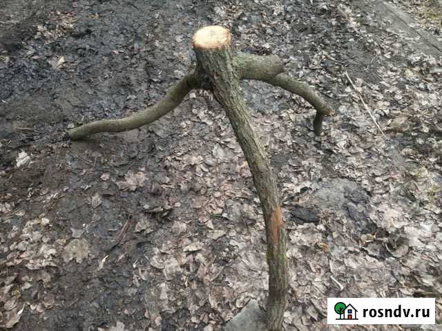 Подставка, подстолье Нижний Новгород - изображение 1