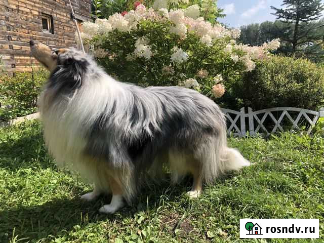 Вязка Новосибирск - изображение 1