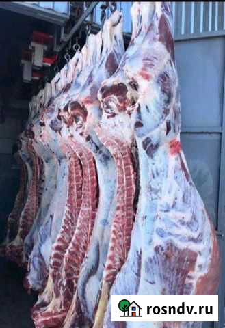 Говядина Кимовск - изображение 1