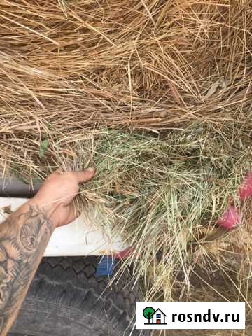 Сено Калач-на-Дону - изображение 1