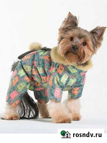 Комбинезон для собаки Ялта - изображение 1