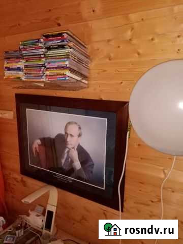 Портрет вв Путина Ульяновск - изображение 1