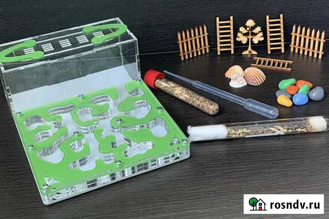 Муравьиная ферма Нижний Тагил - изображение 1