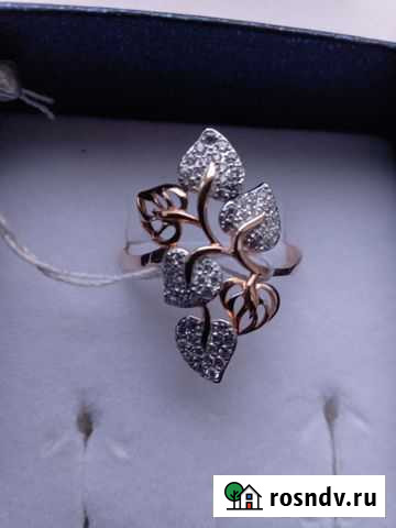 Золотое кольцо Киров - изображение 1