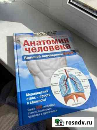 Анатомия человека Волжский