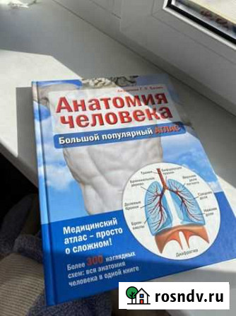 Анатомия человека Волжский - изображение 1