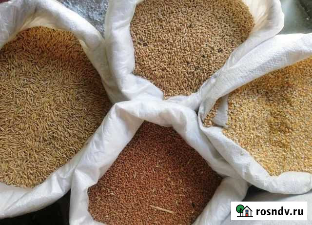 Корма для сельскохозяйственных животных Хадыженск - изображение 1