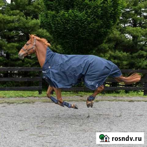 Попона зимняя 300гр 155 Лобня - изображение 1