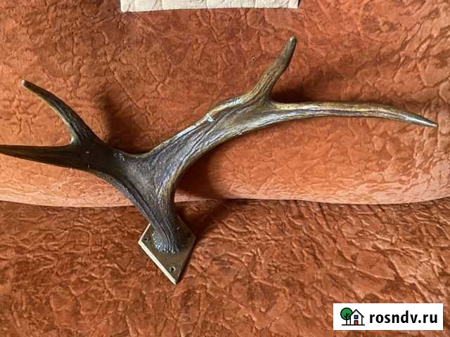 Рога Луга - изображение 1