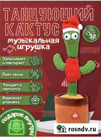 Игрушка Поющий Кактус Петропавловск-Камчатский