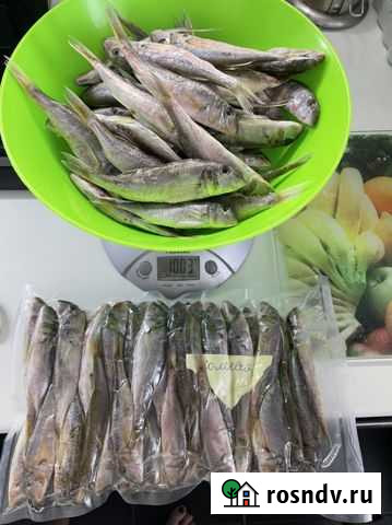 Барабуля соленая Евпатория - изображение 1